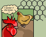 popchick
