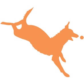 Orange Dog with Ball 30x30