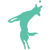 Teal Dog with Ball 15x15