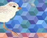 Rrrsnowyplover-bookmark-300dpi_thumb