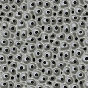 frogspawn