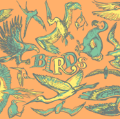 Birds_oranje