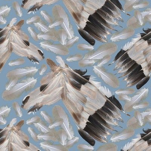 Horse feathers