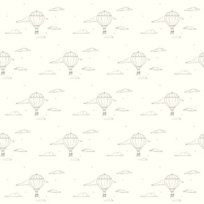Hot Air Balloon
