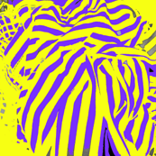 Ruched stripes