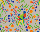Rainbow Lorikeets