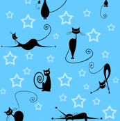 cats and stars 