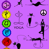 yoga cats