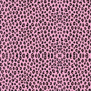 Tiny Pink Leopard for dolly