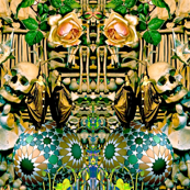 Skulls and Roses