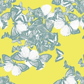 FLUTTER - mist and lemon