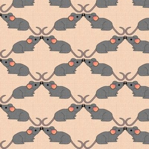 Mus Mustachius