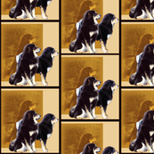 Tibetan Mastiff Guardians