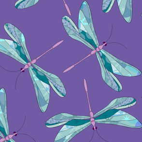 Dry Season Dragonfly