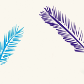 feathers
