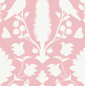 Avignon in Pink