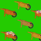 Wheelbarrows and Flowers