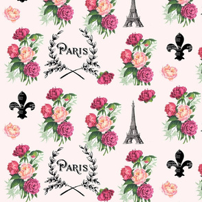 Paris Roses on Pink