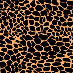 Jaguar or Leopard Spots