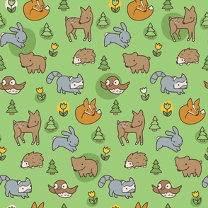 Woodland Meadow