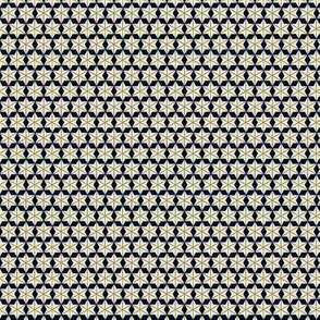 Snowflake Star Pattern 1863