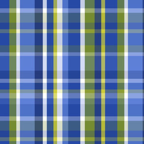 Madras Plaid Blue