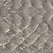 Ripples (large)