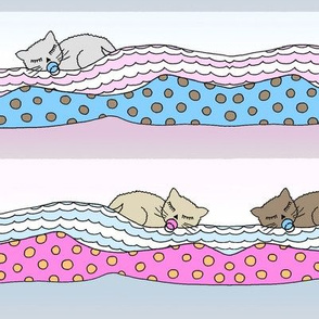 Sleeping kitties
