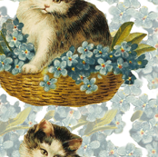 Cat_in_Basket