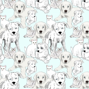 puppies_and_kittens_