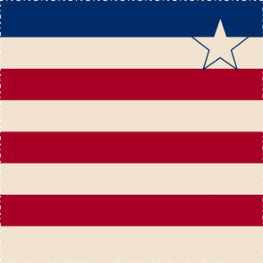 Retro Americana Napkin
