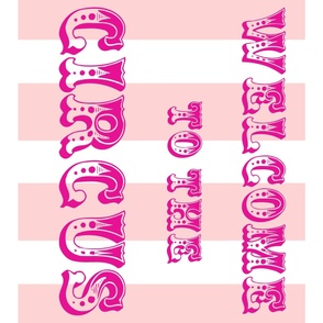 Circus Flag, pink on pink