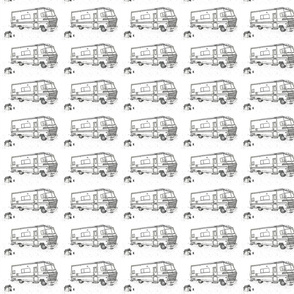 Tim Lamb Winnebago Brave