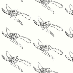 secateurs sketch