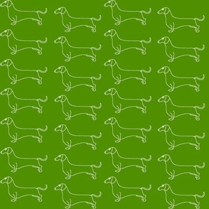 dachshound parade