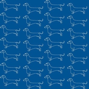 Dachshound parade