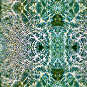Water Vibrations