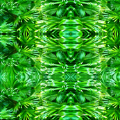 Deep Forrest Tropical Palms