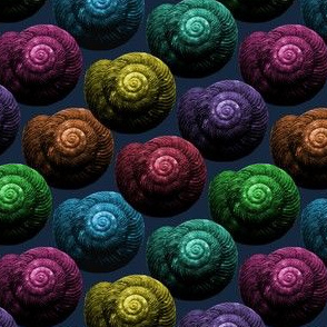 Snail Shells