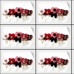 Heart Cavalier King Chalres