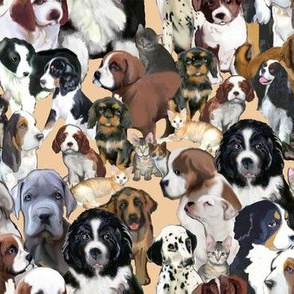 puppies_and_kittens_three