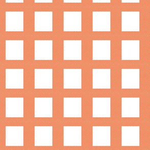 chevron_frame mini cheater quilt