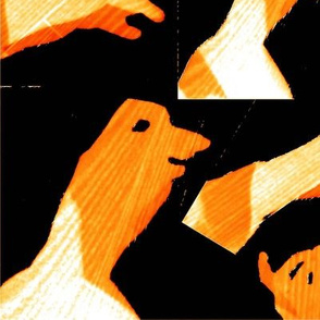 Shadow Puppets on Wood (3) [51"x66"]