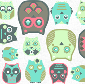 small owls on canvas white 