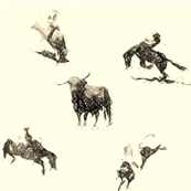 Ride'm Cowboy toile