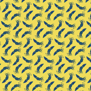 Squid1