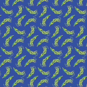 Squid4