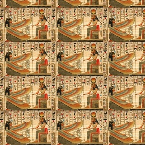 Rrimage_shop_thumb