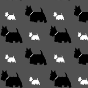 scottie dog by C's