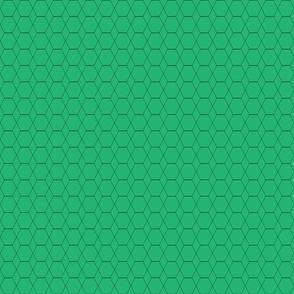 Bay_City_Chicks_Hexagon